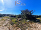 Vente terrain