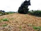 Vente terrain