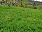 Vente terrain