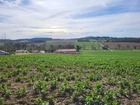 À vendre terrain