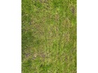 Vente terrain