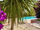 Vente maison F6 145 m²