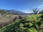 Vente terrain 8551 m²