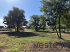 À vendre terrain 1010 m²