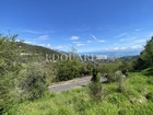 Vente terrain 3063 m²
