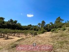 Vente terrain 2660 m²