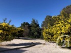 Vente appartement T2 22 m²