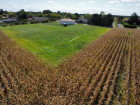 Vente terrain 