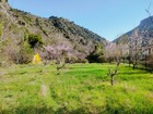 Location terrain 