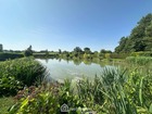 À vendre terrain 9231 m²