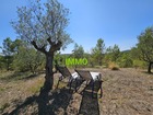 Vente maison F6 160 m²