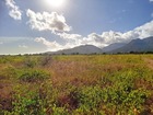 Vente terrain 