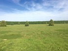 Vente terrain 