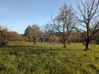 Vente terrain 