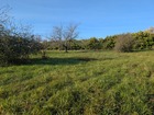 Vente terrain 