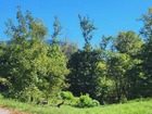 Vente terrain 