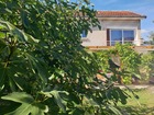 Vente appartement T4 117 m²