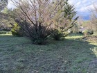 Vente terrain 