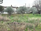 Vente terrain 
