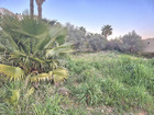 Vente terrain 492 m²