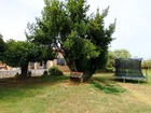 Vente maison F5 181 m²