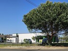 À vendre local 262 m²