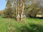 Vente terrain 1275 m²