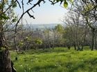 À vendre terrain 
