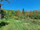 Vente terrain 