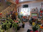 Vente local 58 m²