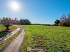 Vente terrain 4077 m²
