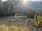 Vente terrain 2454 m²