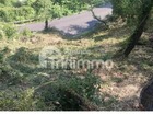 Vente terrain 1003 m²