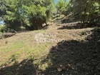 Vente terrain 380 m²