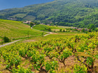 Vente terrain 56300 m²