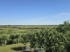 Vente terrain 450 m²