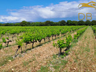 Vente terrain 55903 m²