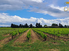 À vendre terrain 20000 m²