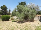Vente terrain 334 m²