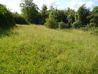 Vente terrain