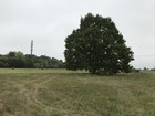 À vendre terrain 803 m²