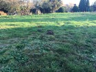 Vente terrain 529 m²