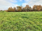 Vente terrain 22500 m²