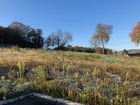Vente terrain 530 m²