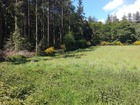 Vente terrain