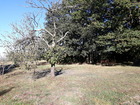 Vente terrain 3000 m²