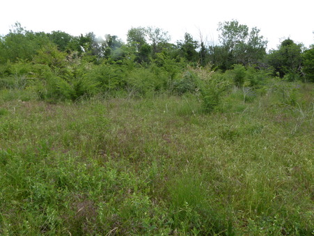 Terrain sur Le Muy ; 15 000 €  ; A vendre Réf. 76V2