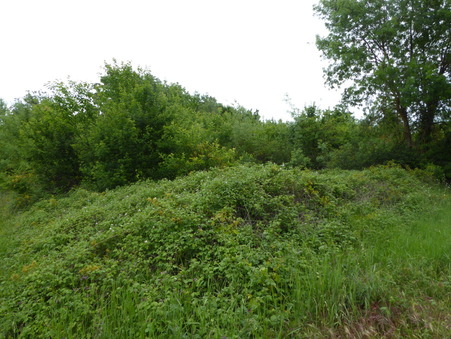 Terrain sur Le Muy ; 15 000 €  ; Achat Réf. 76V2