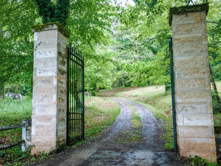 Vente chateau 715 000 €  Terrasson la Villedieu