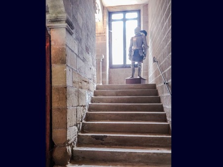 Achat chateau Terrasson la Villedieu Réf. 135